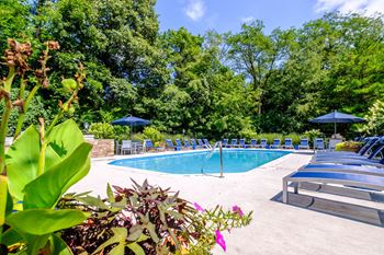 Resort style swimming pool with sun deck